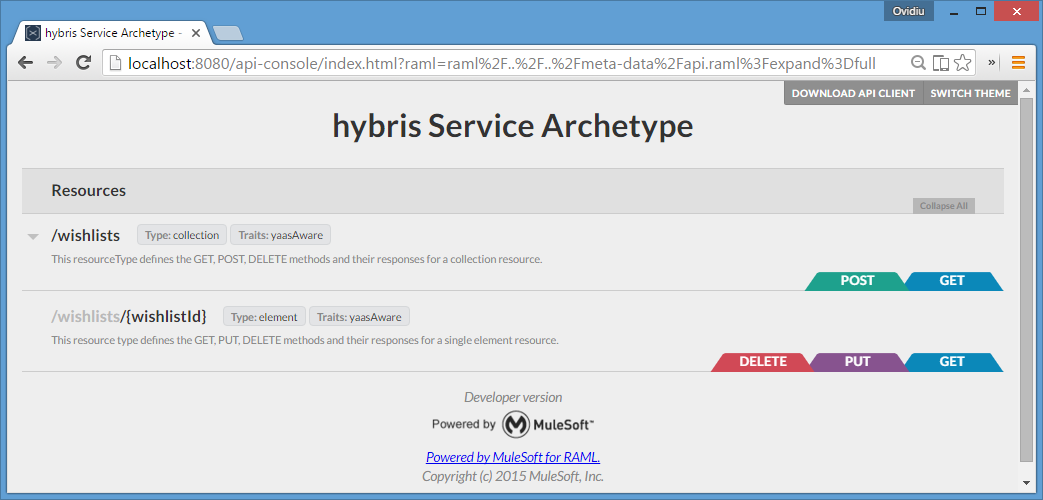 Screenshot of an API console of a service newly created from the hybris archetype.