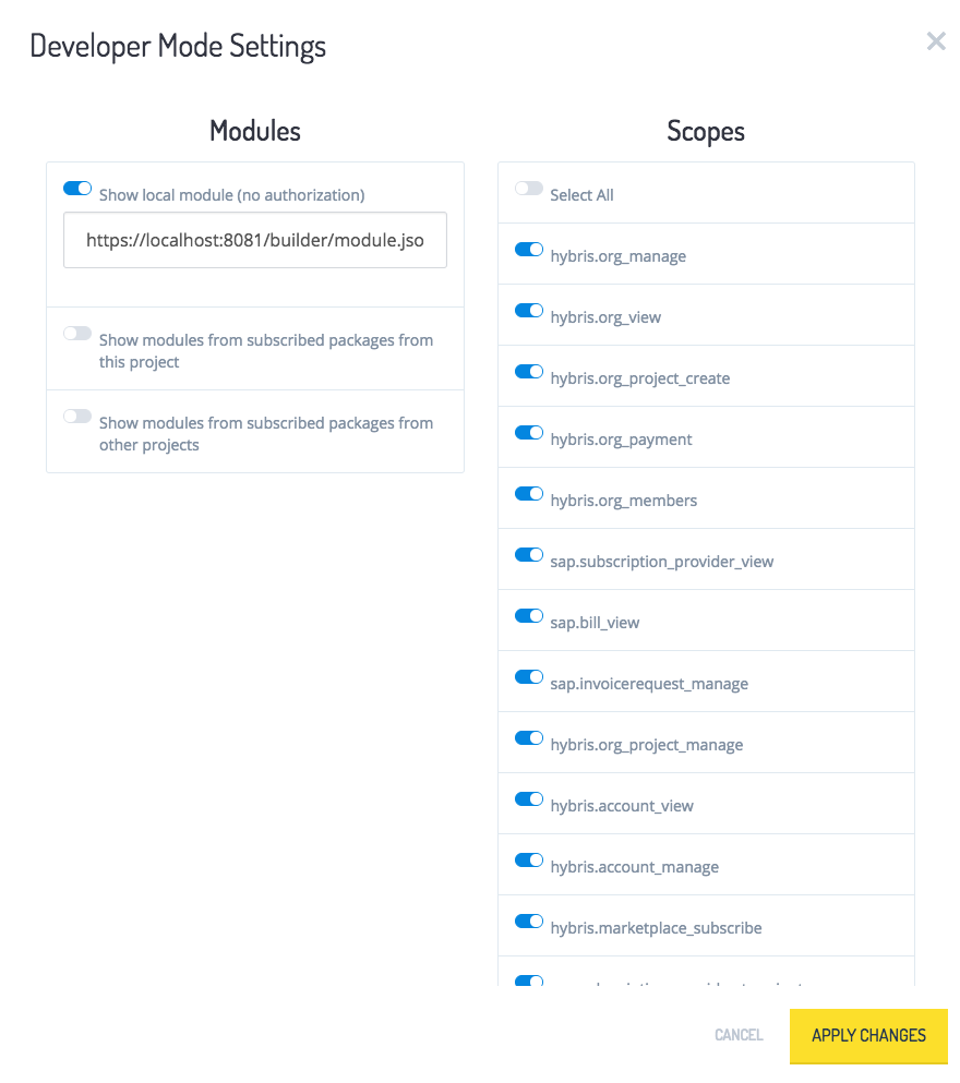 Developer Mode Settings