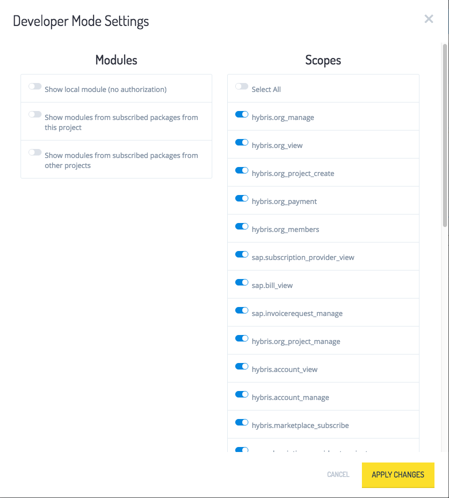 Developer Mode Settings
