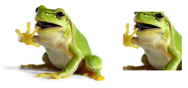 Image cropping